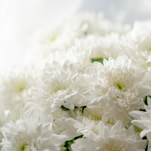 Pack Harmonie Naturopathie Bilan et consultations Oise