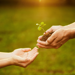Lire la suite à propos de l’article La naturopathie, c’est quoi ? Tout comprendre en 3 minutes